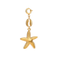 STARFISH GLOW CHARM