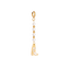 WILD WEST DROP CHARM